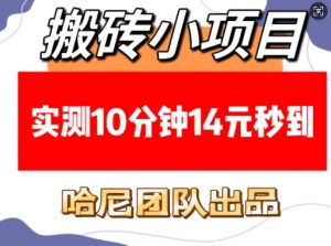 搬砖小项目，实测10分钟14元秒到，每天稳定几张(赠送必看稳定)-创新Ovo