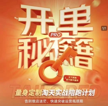 淘宝开单秘籍PRO，量身定制淘天实战陪跑计划，告别做店迷茫、快速突破运营瓶颈期-创新Ovo
