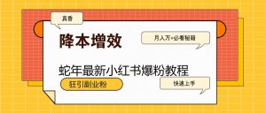蛇年最新小红书爆粉教程,狂引副业粉,月入万+必看-创新Ovo