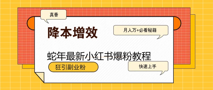 蛇年最新小红书爆粉教程，狂引副业粉，月入万+必看-创新Ovo