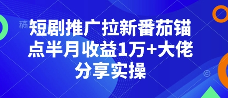短剧推广拉新番茄锚点半月收益1万+大佬分享实操-创新Ovo