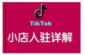 TikTok跨境小店运营全攻略，帮助你独立运营TK跨境小店的能力，实现销量增长-创新Ovo
