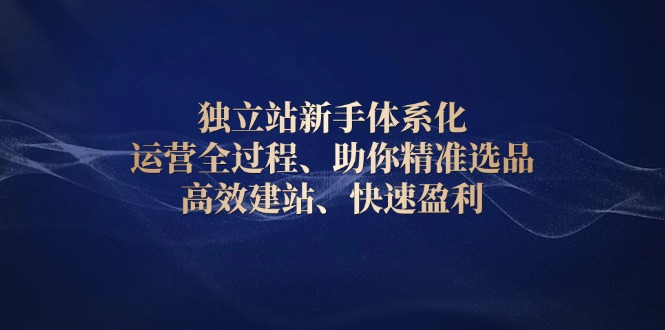 独立站新手体系化 运营全过程，助你精准选品、高效建站、快速盈利-创新Ovo