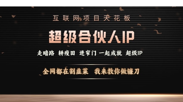 互联网项目天花板，超级合伙人IP，全网都在割韭菜，我来教你做镰刀【仅揭秘】-创新Ovo