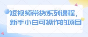 短视频带货系列课程,新手小白可操作的项目-创新Ovo
