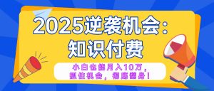 2025逆袭项目——知识付费，小白也能月入10万年入百万，抓住机会彻底翻...-创新Ovo