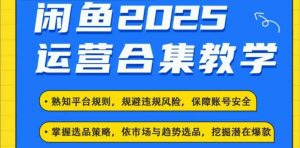 2025闲鱼电商运营全集,2025最新咸鱼玩法-创新Ovo