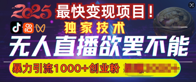 欲罢不能的无人直播引流，超暴力日引流1000+高质量精准创业粉-创新Ovo