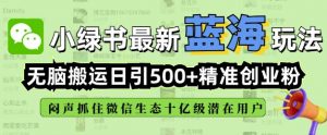 小绿书无脑搬运引流,全自动日引500精准创业粉,微信生态内又一个闷声发财的机会-创新Ovo