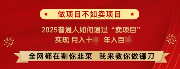 必看，做项目不如卖项目，2025普通人如何通过“卖项目”实现月入十个，年入百个-创新Ovo