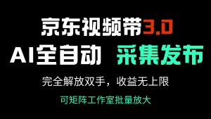 京东视频带货3.0,Ai全自动采集+自动发布,完全解放双手,收入无上限...-创新Ovo