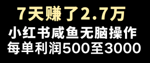 全网首发，7天赚了2.6万，2025利润超级高！-创新Ovo