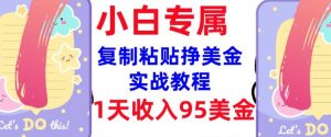 复制粘贴挣美金，0门槛，1天收入95美刀，3分钟学会，内部教程(首次公开)-创新Ovo