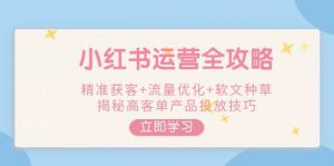 小红书运营全攻略,精准获客+流量优化+软文种草,揭秘高客单产品投放技巧-创新Ovo