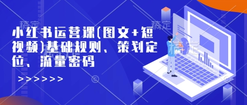 小红书运营课(图文+短视频)基础规则、策划定位、流量密码-创新Ovo