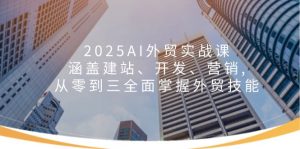 2025AI外贸实战课:涵盖建站、开发、营销, 从零到三全面掌握外贸技能-创新Ovo