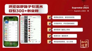 评论区野路子截流创业粉新方法,日被动加300+创业粉,精准引流被动添加...-创新Ovo