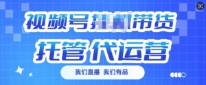 视频号挂J直播带货托管代运营,每个月多挣3k【揭秘】-创新Ovo