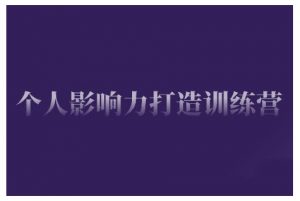 个人影响力打造训练营,掌握公域引流、私域运营、产品定位等核心技能,实现从0到1的个人IP蜕变-创新Ovo