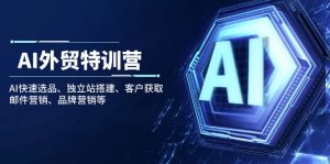 AI外贸特训营:AI快速选品、独立站搭建、客户获取、邮件营销、品牌营销等-创新Ovo