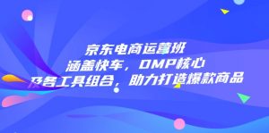 京东电商运营班：涵盖快车，DMP核心及各工具组合，助力打造爆款商品-创新Ovo
