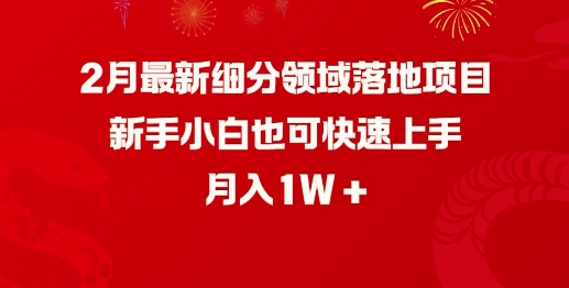 2月最新细分领域落地项目，新手小白也可快速上手，月入1W-创新Ovo