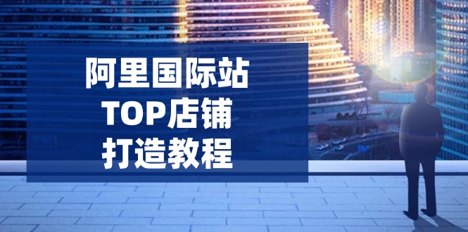 阿里国际站TOP店铺打造教程：涵盖平台到高阶，解决运营难题，提升询盘-创新Ovo