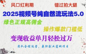 2025视频号纯自然流玩法5.0,绿色正规高佣金,操作爆款门槛低,变现收益单月轻松过万-创新Ovo