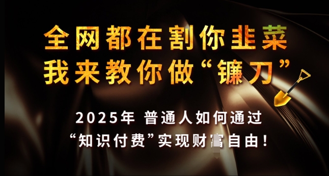 全网都在割你韭菜，我来教你做镰刀，2025年普通人如何通过 知识付费 实现财F自由【揭秘】-创新Ovo