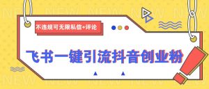 飞书一键引流抖音创业粉,不违规可 无限私信+评论-创新Ovo