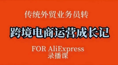 跨境电商速卖通运营课，​运营方法论+后台实操，逻辑清晰-创新Ovo