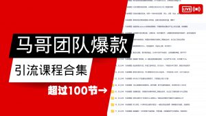 马哥团队【122节】最全项目爆款引流课程合集【持续更新】-创新Ovo