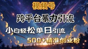 跨平台暴力引流，私域完美闭环，日引500+精准创业粉-创新Ovo