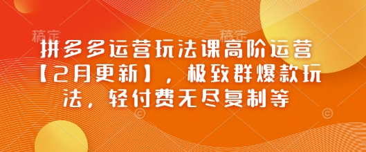 拼多多运营玩法课高阶运营【2月更新】，极致群爆款玩法，轻付费无尽复制等-创新Ovo