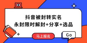 抖音被封转实名攻略，永久封禁也能限时解封，分享解封后高效选品技巧-创新Ovo