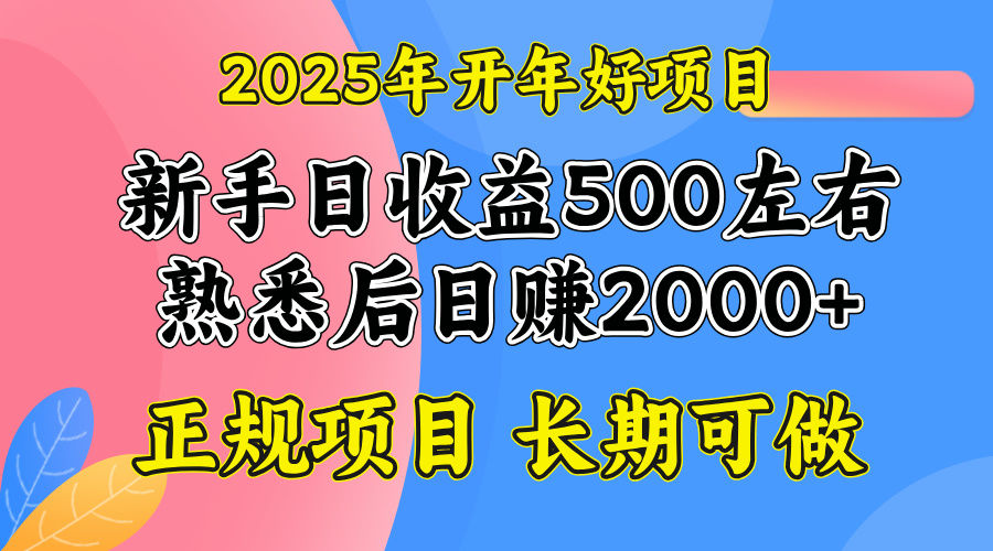 2025开年好项目，单号日收益2000左右-创新Ovo