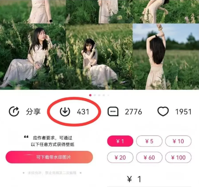 最新图虫搬运项目，收益无上限，利用AI小白也可日赚500+-创新Ovo