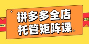 拼多多全店托管矩阵课,盈利动销玩法,高效计划设置,提升店铺效益-创新Ovo