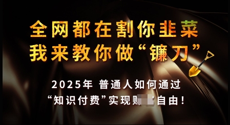 知识付费如何做到月入过W+，2025我来教你做“镰刀”【揭秘】-创新Ovo