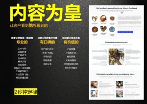 刘老师·外贸询盘增长秘籍从0到1的实战指南-创新Ovo