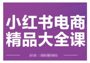 小红书电商精品大全课,快速掌握小红书运营技巧,实现精准引流与爆单目标,轻松玩转小红书电商(更新2月)-创新Ovo