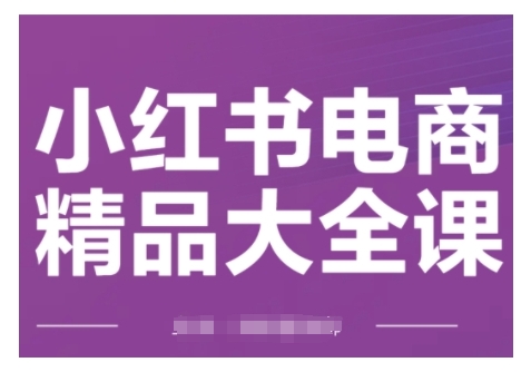 小红书电商精品大全课，快速掌握小红书运营技巧，实现精准引流与爆单目标，轻松玩转小红书电商(更新2月)-创新Ovo