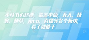 小红书必修课,覆盖电商,无人,获客,种草,mcn,直播等多个板块,看了就能干-创新Ovo