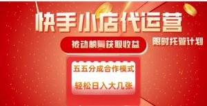 快手小店代运营,被动躺Z收益,收益五五分,单日稳定变现五张【揭秘】-创新Ovo