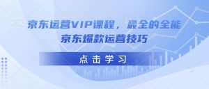 京东运营VIP课程，最全的全能京东爆款运营技巧-创新Ovo