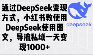 通过DeepSeek变现方式，小红书教使用DeepSeek图文，导流私域一天变现1000+-创新Ovo