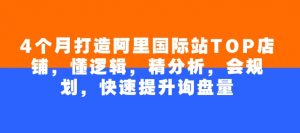 4个月打造阿里国际站TOP店铺,懂逻辑,精分析,会规划,快速提升询盘量-创新Ovo