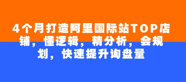 4个月打造阿里国际站TOP店铺，懂逻辑，精分析，会规划，快速提升询盘量-创新Ovo