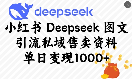小红书Deepseek图文引流私域售卖资料，单日变现多张-创新Ovo