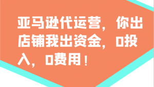 亚马逊代运营，你出店铺我出资金，0投入，0费用，无责任每天300分红，赢亏我承担-创新Ovo